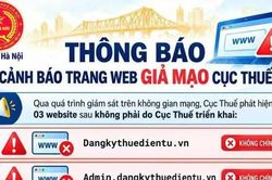 Cơ quan thuế lưu ý cách nhận biết website giả mạo