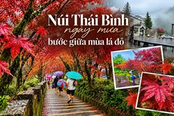 Núi Thái Bình ngày mưa, bước giữa mùa lá đỏ