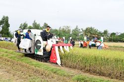 Đề xuất mới về nội dung chi, mức chi hoạt động khuyến nông