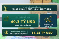 [Video] Xuất khẩu n&ocirc;ng, l&acirc;m, thủy sản đạt 49,3 tỷ USD