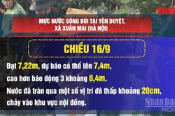 [Video] Quân và dân Hà Nội đội mưa gia cố đê, ứng phó lũ sông Bùi