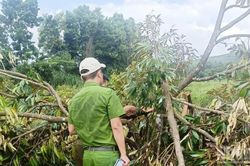 Lâm Đồng: Điều tra vụ cố ý gây thương tích tại xã biên giới Quảng Trực