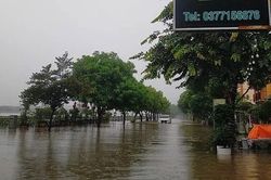 Ninh Bình: Lũ trên sông Hoàng Long đạt đỉnh, nước sông Đáy tiếp tục ở mức cao