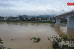 [Video] Khẩn trương triển khai phương án ứng phó lũ trên các tuyến sông