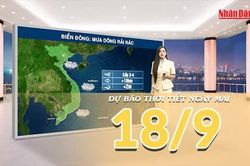 [Video] Dự báo thời tiết đêm nay và ngày mai 18/9/2026: Bắc Bộ mưa lớn, Thanh Hóa - Nghệ An có nơi mưa trên 180mm