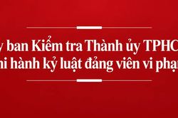 Ủy ban Kiểm tra Thành ủy TPHCM thi hành kỷ luật 4 đảng viên vi phạm