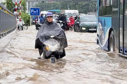Nhiều trường ở Hà Nội học trực tuyến do mưa ngập