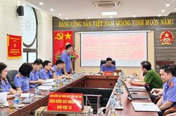 Tăng cường kiểm tra c&ocirc;ng t&aacute;c quản l&yacute;, giải quyết c&aacute;c vụ việc, vụ &aacute;n tạm đ&igrave;nh chỉ