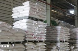 Quảng Trị: Hỗ trợ hơn 537 tấn gạo cho học sinh vùng khó khăn, biên giới