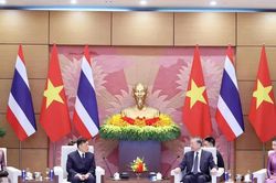 Hoạt động đối ngoại cấp cao: Cụ thể hóa đường lối đối ngoại độc lập, tự chủ