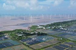 Hút nguồn lực doanh nghiệp, Cà Mau nâng tầm năng lượng tái tạo