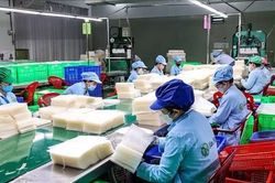 Nâng chất OCOP, tạo động lực mới cho kinh tế nông thôn