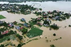 Thanh Hóa: Hơn 8.400 nhà dân bị ngập do mưa lũ