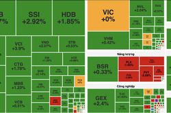 VN-Index tăng hơn 12 điểm, dòng tiền đổ vào nhóm chứng khoán