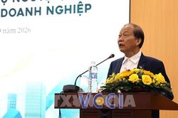 Hưu trí tự nguyện còn dư địa lớn, có thể trở thành kênh vốn dài hạn