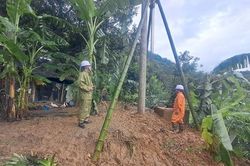 Mưa lũ gây gián đoạn cấp điện cho hơn 21.600 khách hàng tại Thanh Hóa, Ninh Bình