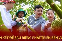 Li&ecirc;n kết để sầu ri&ecirc;ng ph&aacute;t triển bền vững