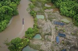 EU tới COP31: Cam kết khí hậu không còn đủ, cần thúc đẩy hành động, đầu tư giảm phát thải