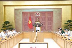 Điều chỉnh Quy hoạch lâm nghiệp: Bảo đảm đồng bộ dữ liệu, gắn giữ rừng với sinh kế người dân