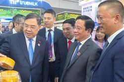 An Giang đại diện Việt Nam xây dựng Khu gian hàng Quốc gia tại CAEXPO 2026