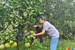 Đồng hành giúp nông dân thoát nghèo