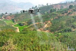 Mở hướng cho nông nghiệp Điện Biên