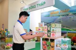 Đồng Tháp trưng bày, giới thiệu sản phẩm, hàng hóa đặc trưng tại TP. Hồ Chí Minh