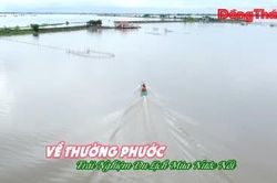 Về Thường Phước trải nghiệm du lịch mùa nước nổi