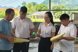 Khơi thông dòng vốn, tiếp sức kinh tế tư nhân Lào Cai