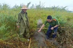 Lào Cai: Tháo dỡ nhiều dụng cụ bẫy chim, thả 7 cá thể chim ngói về tự nhiên