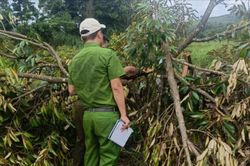 Quảng Trực xác minh thông tin giữ người trái quy định sau vụ chém bảo vệ