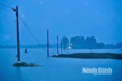Sông Hoàng Long đã đạt đỉnh lũ, sông Đáy tiếp tục dâng dự báo đạt đỉnh vào chiều tối 17/9