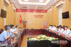 Đồng chí Phó Bí thư Tỉnh ủy, Chủ tịch UBND tỉnh Nguyễn Thanh Bình làm việc với đoàn đại biểu một số doanh nghiệp FDI