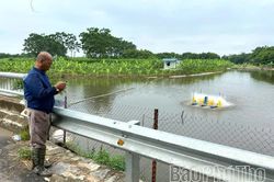 Nuôi thủy sản ứng dụng công nghệ gia tăng giá trị