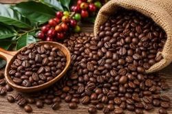 Ngày 17/9: Giá cà phê đảo chiều giảm mạnh, hồ tiêu ở mốc 141.000 đồng/kg