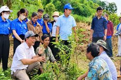 Để sinh kế không dừng lại khi chính sách hỗ trợ kết thúc