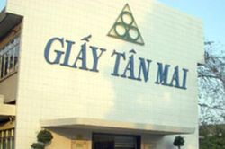 Thanh tra Chính phủ chỉ ra loạt sai phạm tại Tập đoàn Tân Mai