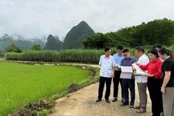 Giám sát kết quả thực hiện kế hoạch đầu tư công trung hạn tại xã Đông Khê, Phục Hòa