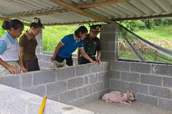 Đồn Biên phòng Quang Long hỗ trợ phụ nữ hoàn cảnh khó khăn phát triển kinh tế