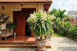 5 lý do những gia đình giàu có thích trồng Thiết Mộc Lan trong nhà