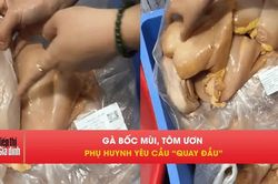 Phụ huynh phát hiện gà bốc mùi, tôm ươn trước giờ bán trú