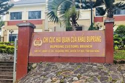 Lâm Đồng đề nghị bố trí đơn vị giám định sinh vật gây hại tại cửa khẩu BuPrăng và Đăk Peur