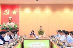 Đẩy nhanh tiến độ, tạo chuyển biến rõ nét trong xử lý các vấn đề môi trường