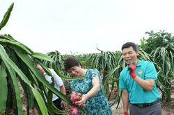 Mở lối trên thị trường số cho nông sản tại Thuận An
