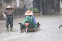 Sông Tích tràn bờ, dân ven đô Hà Nội chèo thuyền mua mì tôm, chăng lưới chắn rác trước nhà