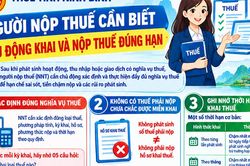 Người nộp thuế cần chủ động khai và nộp thuế đúng hạn