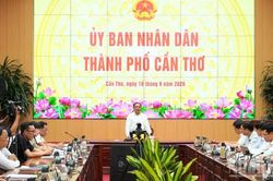 Cần Thơ chuẩn bị 25.000 chậu lúa cho Festival quốc tế ngành hàng lúa gạo
