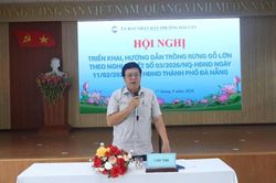 Hải Vân: Triển khai hướng dẫn người dân tham gia trồng rừng gỗ lớn theo Nghị quyết 03