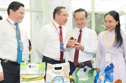 Hợp tác giữa TPHCM, Đông Nam bộ và đồng bằng sông Cửu Long đi vào chiều sâu