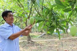 Đề xuất xây dựng 'bản đồ vùng nguyên liệu'